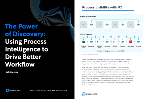 Key Findings from the Process Intelligence Whitepaper