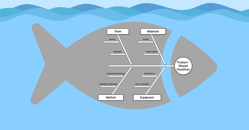 Fish bone diagram example