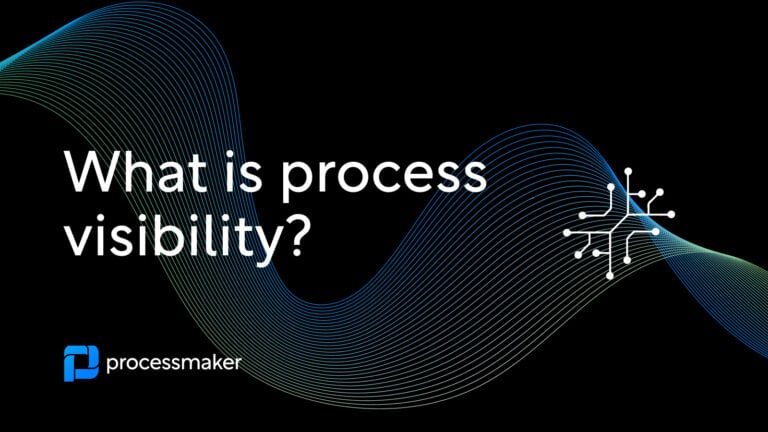 What is process visibility