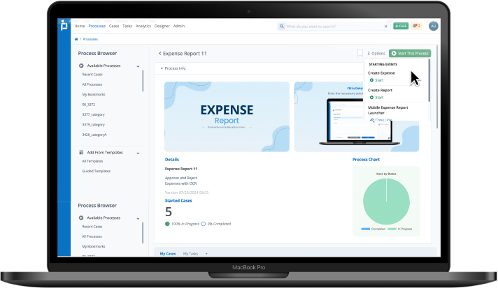 ProcessMaker Expense Reporting